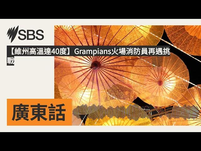 【維州高溫達40度】Grampians火場消防員再遇挑戰 | SBS Cantonese - SBS廣東話節目