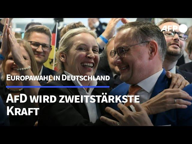 Europawahl: AfD wird zweitstärkste Kraft | AFP