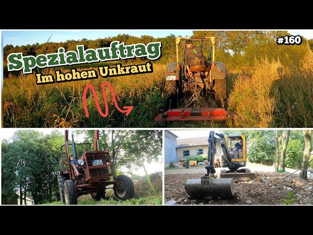 Schafft er das? DEMA SICHELMULCHER Belastungstest | Schlechte KARTOFFELERNTE? |  oldtimer_junkie