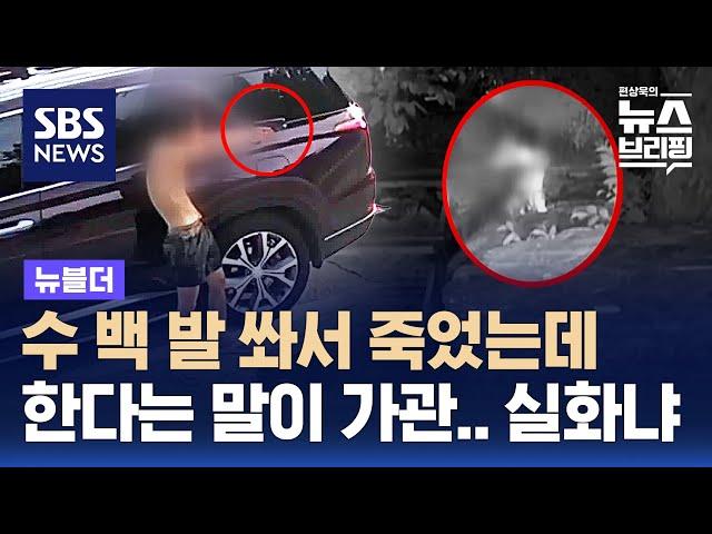 무고한 강아지들에게 비비탄 난사에 이어 협박까지? / SBS / 뉴블더