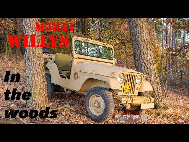 Willys Jeep M38A1 | In the WOODS (Fall 2018)