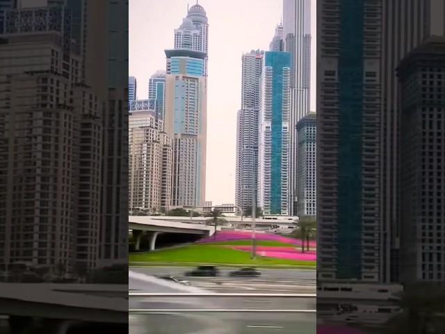 Sheikh Zayed Road: The Heart of Dubai