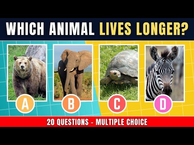 ANIMALS TRIVIA QUIZ - Multiple Choice Test ️