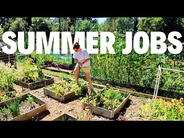 Summer Jobs At The Allotment!