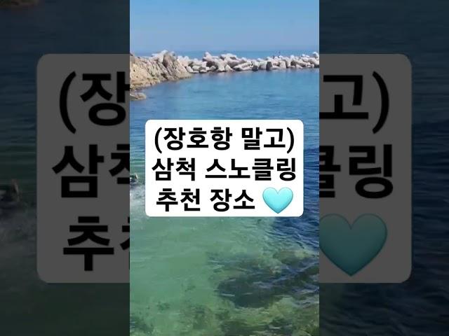 (장호항 말고) 삼척 스노클링 추천 장소 용화방파제 동해 강원도 스노쿨링 물놀이 휴가 여름 수영 낚시