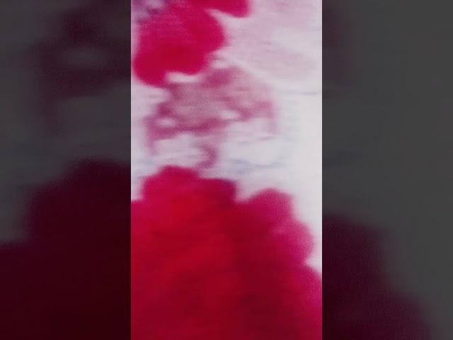 Ye video to viral h #youtubeshorts#viralvideo#vlogs#shipra#gupta