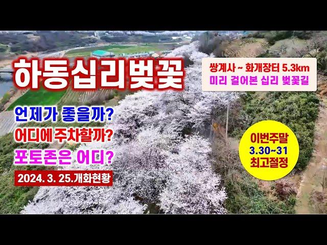 하동 십리벚꽃 3.25. 개화현황, 3.30~4.2 최고 절정 예상, 주차장, 포토존 안내 -해산강트래블(海山江 travel)