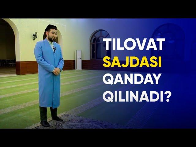 Tilovat sajdasi qanday qilinadi? | Ahrorjon Abdulvohid | #tilovat #sajda #namoz