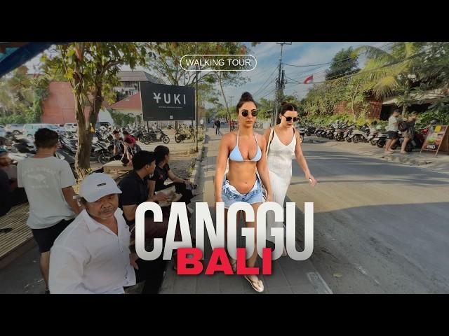 Explore CANGGU BALI 2024  WALKING Tour | Travel Vlog