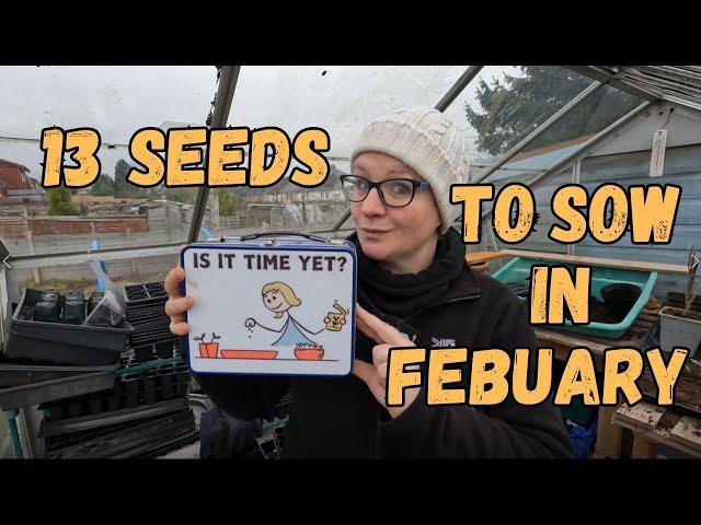 13 Seeds To Sow In Mid February For A Great Harvest