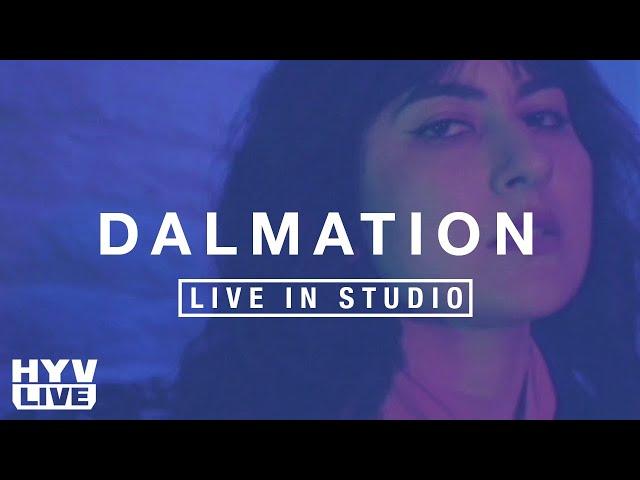 DALMATION & PARV0 IN STUDIO | HYV LIVE: EP 4