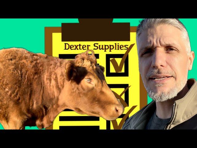 Guide To Buying Your First Dexter Cow #1 (Supplies)