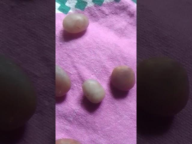 rough natural Jem's Stone 's #natural #beautiful #jems #stone #collection #river