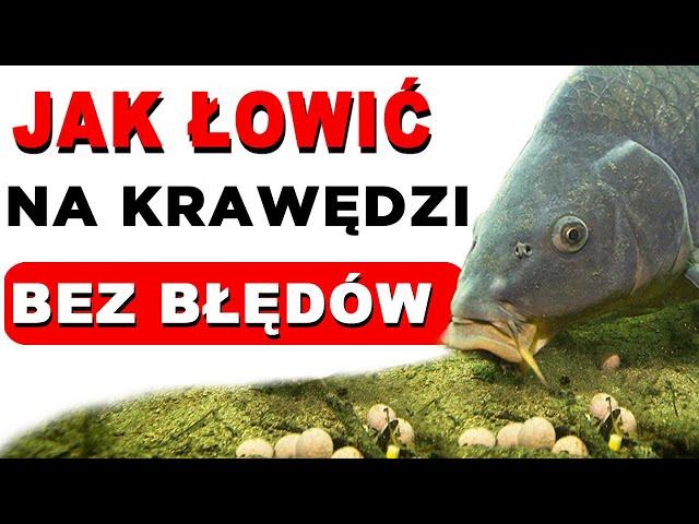 Jak łowić karpie we właściwy sposób? Gdzie karmić? Gdzie łowić?