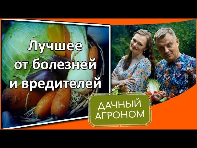 АВГУСТ Боремся со слизнями, паршой и глупостями