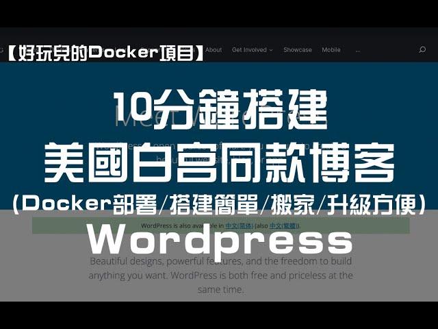 【好玩儿的Docker项目】10分钟搭建美国白宫也用的博客框架——Wordpress！不过没Halo香！