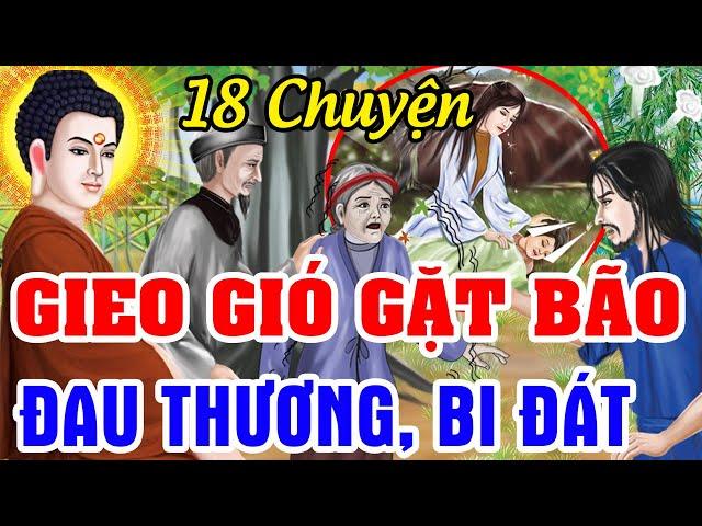 18 Chuyện Nhân Quả Phật Giáo Hay Nhất 2024 ,GIEO GIÓ GẶT BÃO - Luật Nhân Quả Không Bỏ Sót 1 Ai.