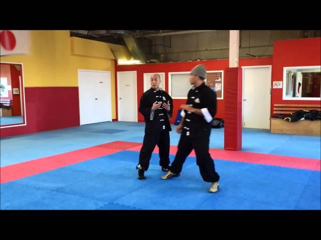 Wing Chun Kung Fu - Chinese Boxing Style