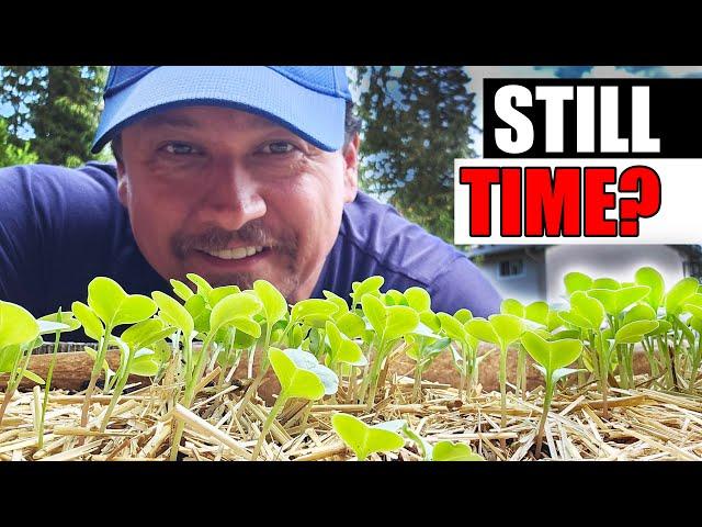 How Much Time Do We Have Left To Plant? - Garden Quickie Episode 212