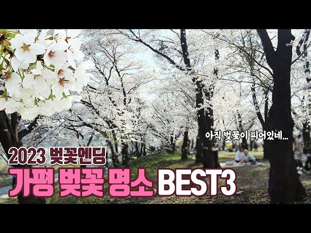 Best 3 cherry blossom spots in Gapyeong