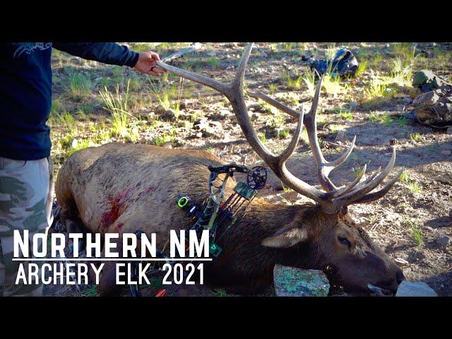 NM Archery Elk Hunt 2021