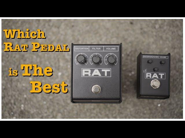 Which Rat Pedal is the Best - Doctor Guitar EP266