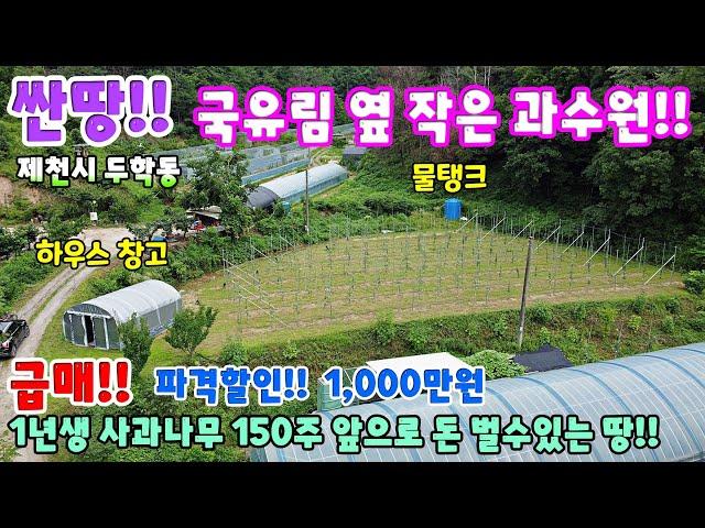 650. 싼땅!! 사과과수원 하우스창고 등 시내에서 농막놓고 농사짓기 좋은 저렴한 땅 귀농귀촌 추천토지 제천시 두학동토지 제천토지매매 제천부동산 제천전원주택매매