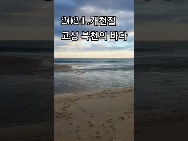 연어시즌. 개천절 고성북천 상황 #투망. #바다투망 한국투망협회 배종환 특파원