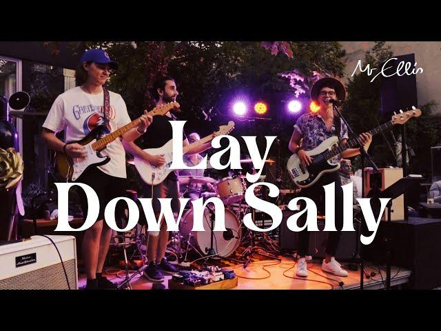 Lay Down Sally - Eric Clapton | Full Band Live Cover by Mr Ellis