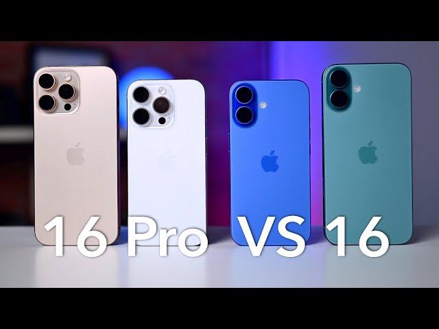 iPhone 16 VS 16 Pro Compare! Pro or NO?!!