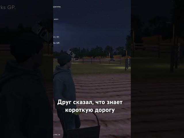 Когда друг сказал, что знает короткую дорогу. #radmir #gta5 #rp #crmp #hassleonline #мойдом