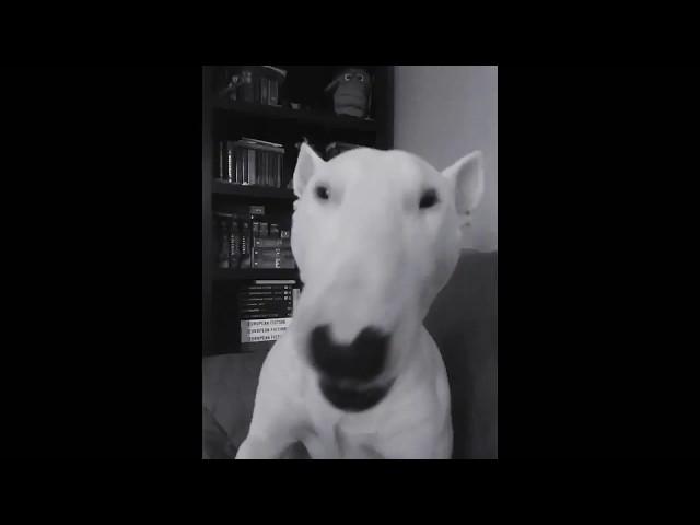 Rip Walter 