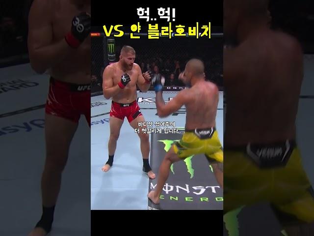 크으 소리 나오는 알렉스 페레이라 카프 킥!