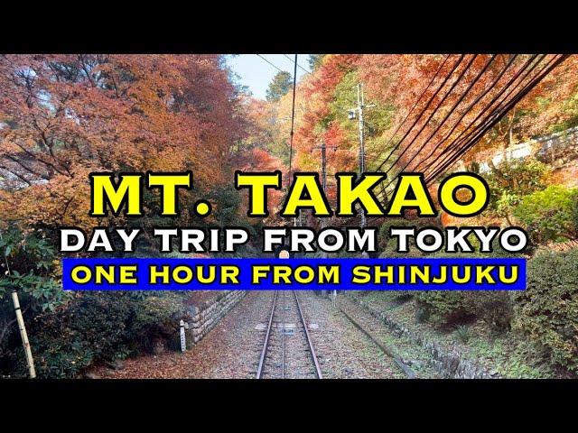 Autumn in Mt. Takao | Most Popular Day Trip From Tokyo | One Hour From Shinjuku | Tokyo, Japan