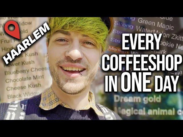 Haarlem - Every Coffeeshop In One Day