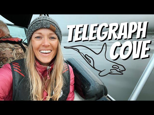 What to do in Telegraph Cove | Northern Vancouver Island | Ecotourism Canada