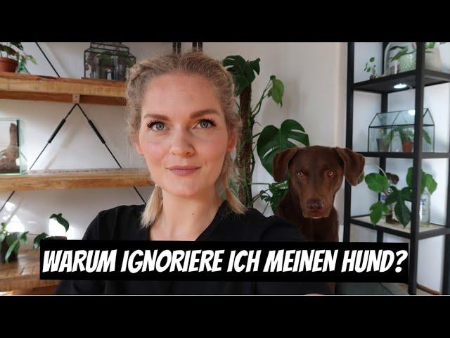 WARUM ICH MEINEN HUND IGNORIERE ...