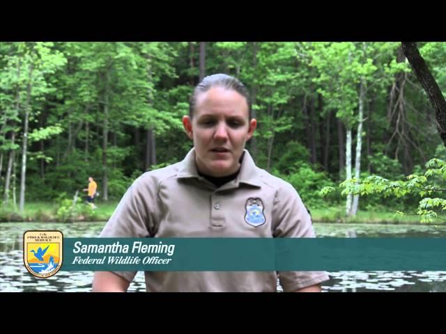 A Day in the Life of a Federal Wildlife Officer