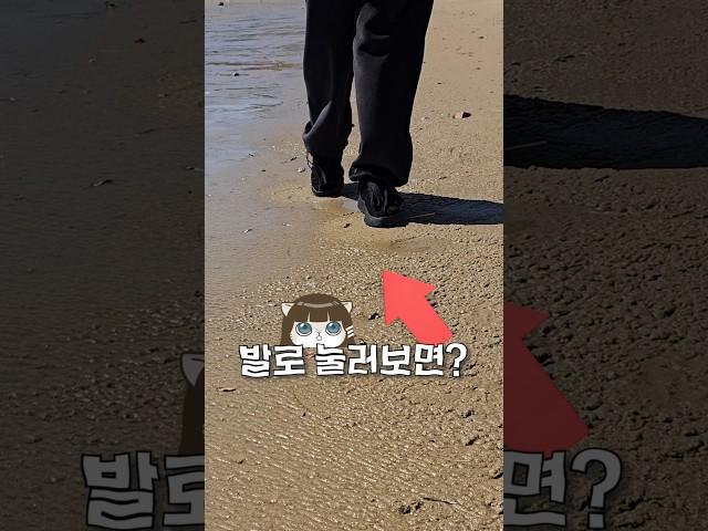 아무도 몰랐을 모래사장의 비밀