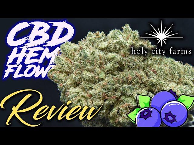 Holy City "Blueberry" Hemp Strain Review | CBD Hemp Flower Review