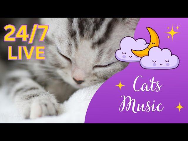 24/7 Music for Happy Cats | Relaxing and Playful Tunes for Feline Joy  #cats