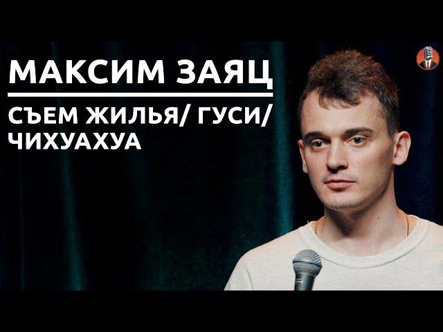 Максим Заяц - съём жилья/ гуси/ чихуахуа [СК#24]