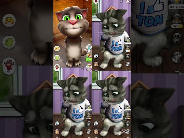 Talking Tom and Tom Cat  #subscribe #talkingtom #besttomcat #shortvideo #funny #mytomcat #cat