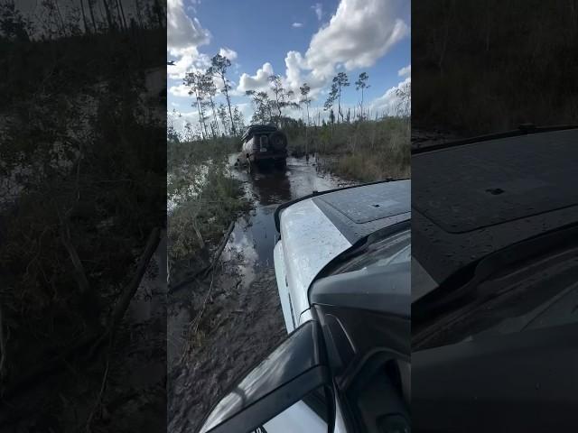 Naples trail vibes!  Rolling deep with 20 rigs in Florida's wilderness. Pure overland magic! 