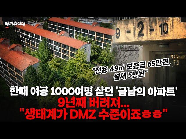 "벌레와 너구리 천국 됐다" 광명 한복판 5000억대 땅을 9년간 방치한 서울시, 이유가…ㅣ폐허추적대