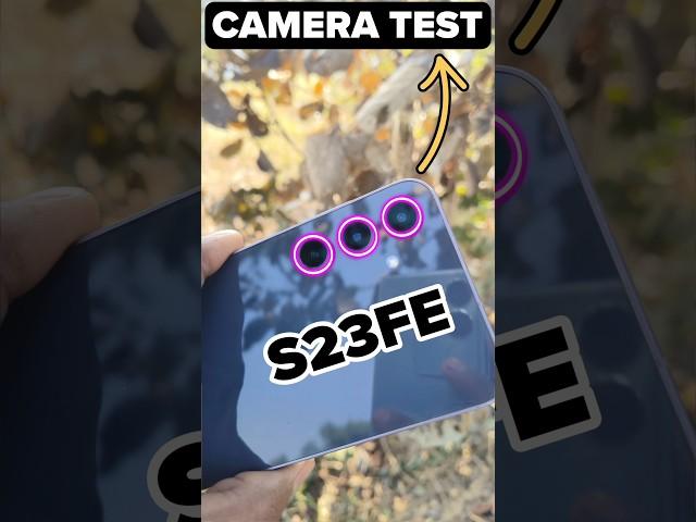 Samsung S23Fe 3X Telephoto Test: Ultimate Zoom Performance
