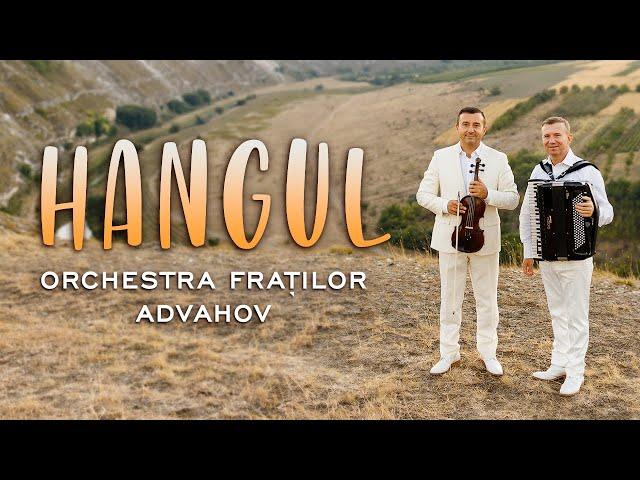 Orchestra Fraților Advahov - Hangul (official music video)