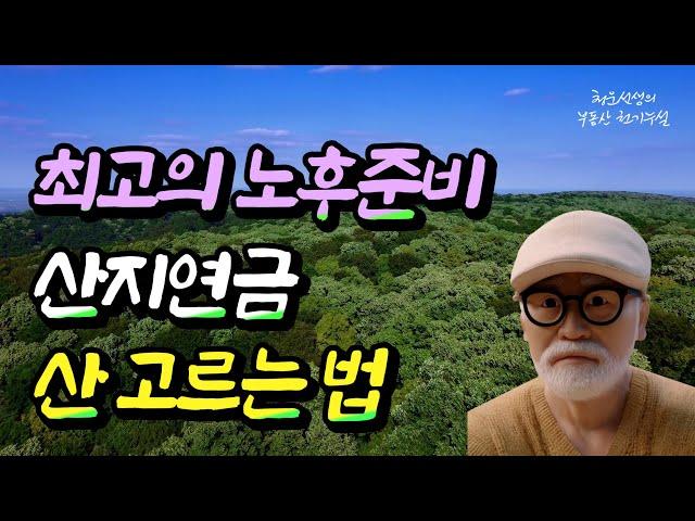 산지연금 받을 수 있는 임야 고르는 법