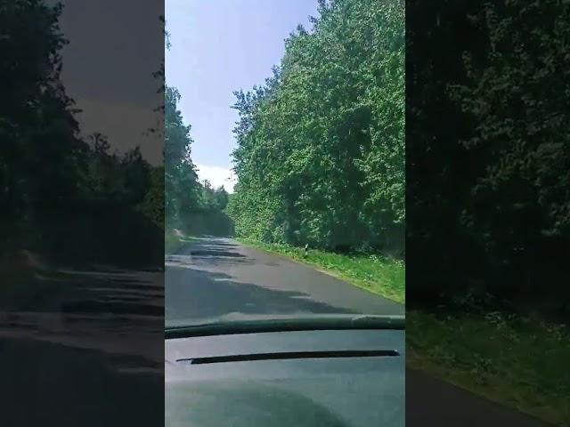 НИ КОГДА! НЕ ИЗВИНЯЙТЕСЬ! #психология #саморазвитие #рекомендации #video