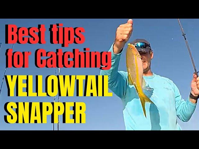 Best tips for catching YELLOWTAIL SNAPPER